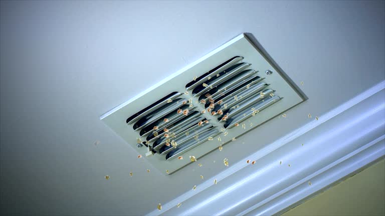 Best Home Air Vent Cleaning  in Clarksville, IA